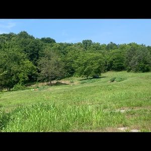 Meet your Posher, Lily